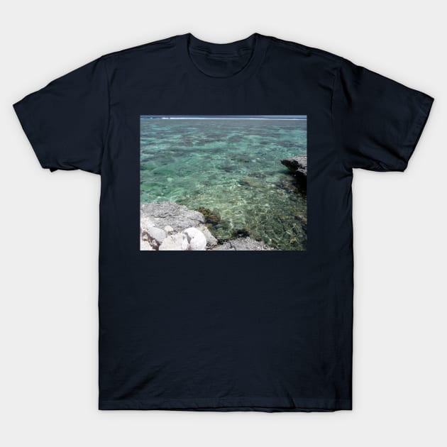 There's nothing I love more than glorious clear water! T-Shirt by HFGJewels